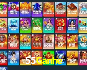 Security Systems 55Ganhe